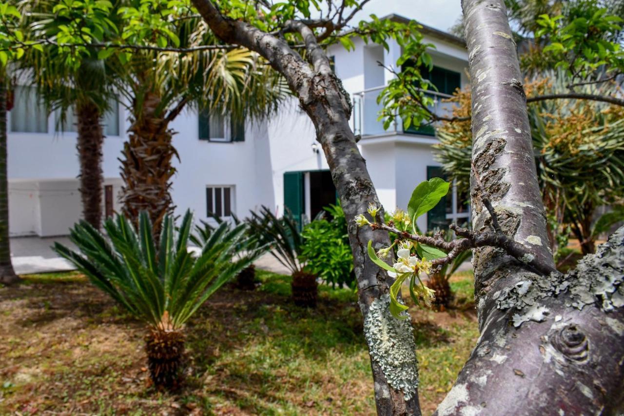 Casa Do Cantinho Do Muro São Vicente Extérieur photo